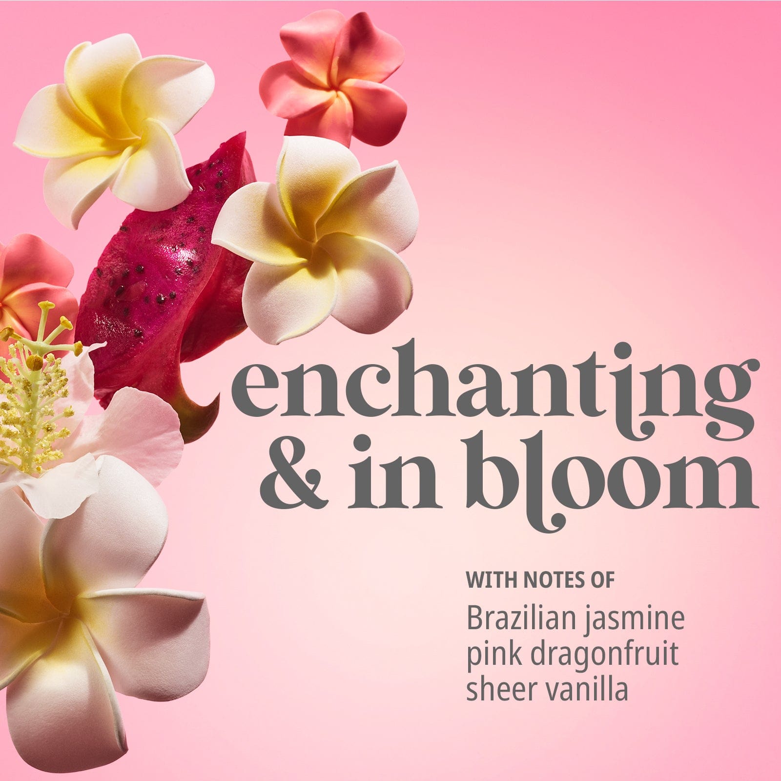 Blooming & bright with notes of Brazilian jasmine, pink dragonfruit, sheer vanilla