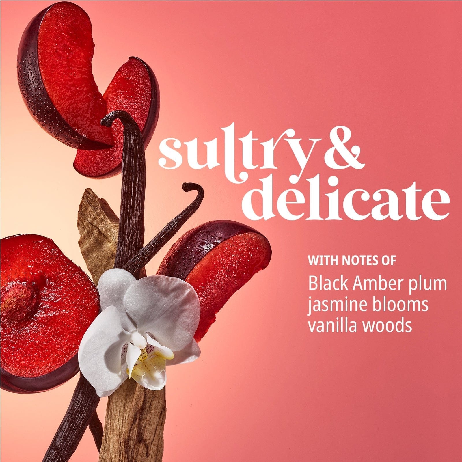 Sultry & delicate with notes of black amber plum, jasmine blooms and vanilla woods.