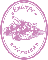 Açaí Oil