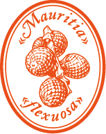 Buriti Fruit Oil