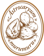 Murumuru Butter
