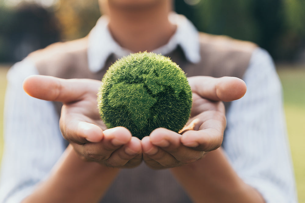 person holding a grass globe in their hand