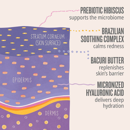 Prebiotic hibiscus supports the microbiome. Brazilian soothing complex calms redness. Bacuri butter replenishes skin&