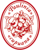 Guaraná